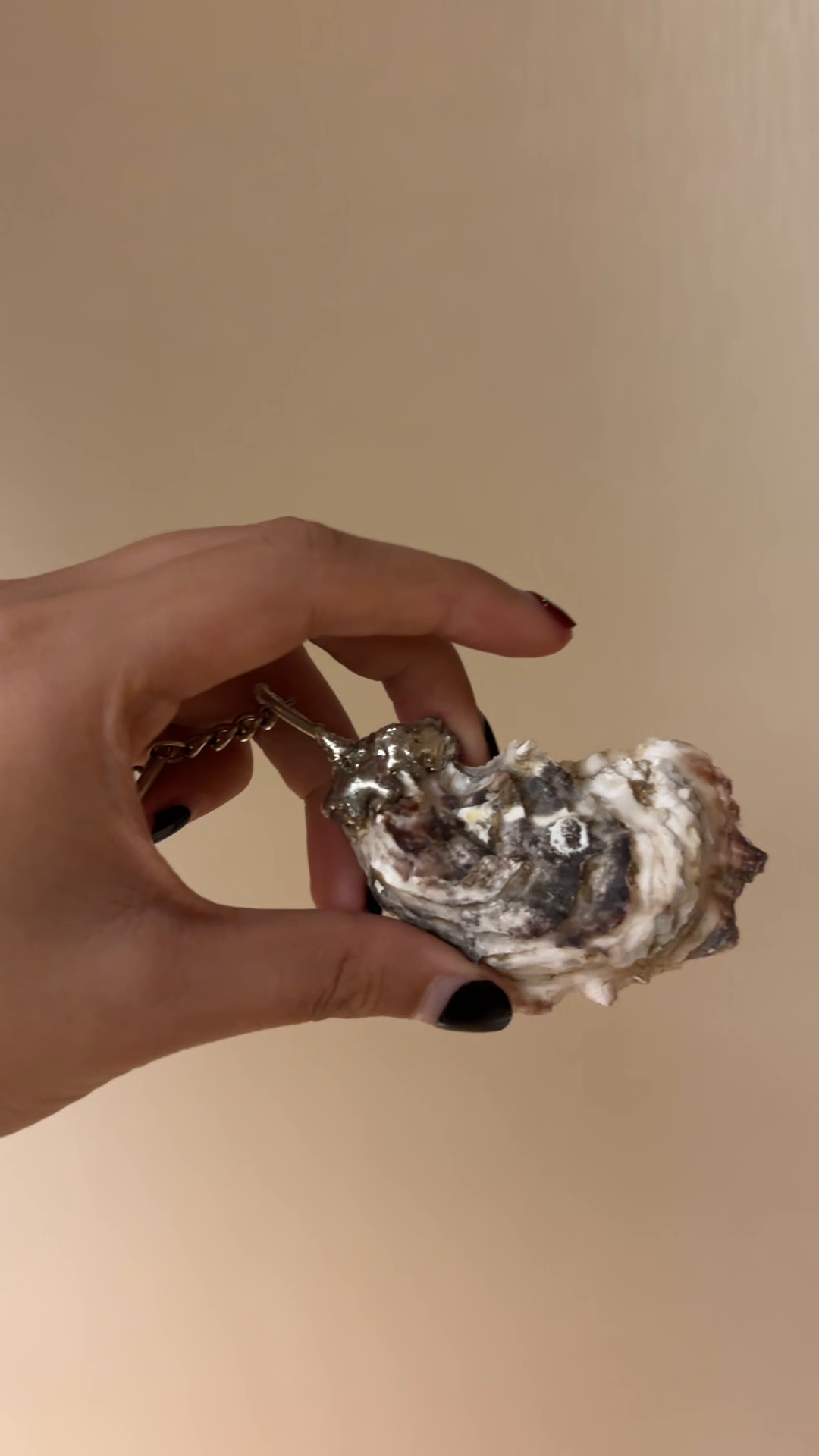 Shell Oracle LV005 — product detail