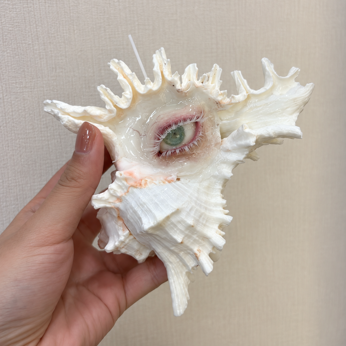 Verdant Gaze SF007-2 — handheld shell scale and side profile