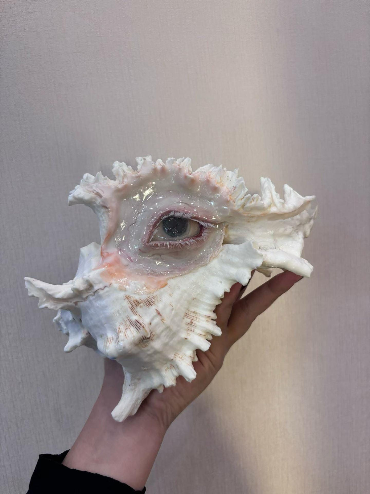 Weeping Eye Shell Candle Holder — view 6