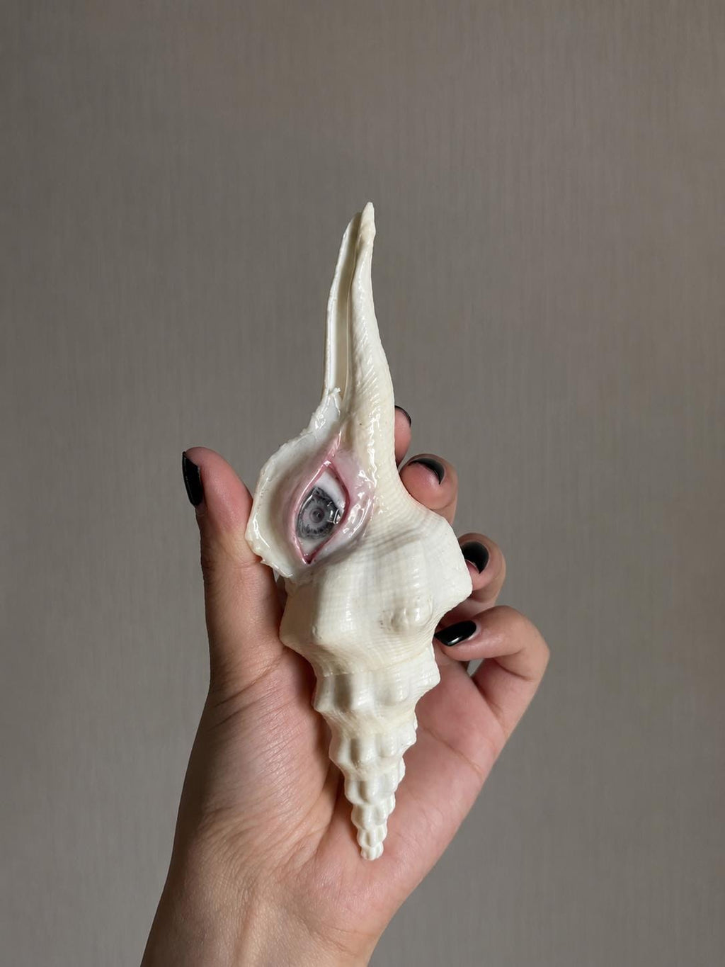 Long Conch Eye — product detail view 7